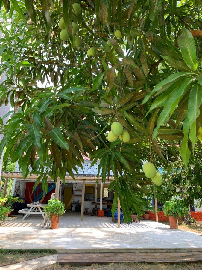 Casita Caribe En Reserva Natural, Playa Privada, Kayaks, Wifi, Aire Acondicionado San Onofre Exterior foto